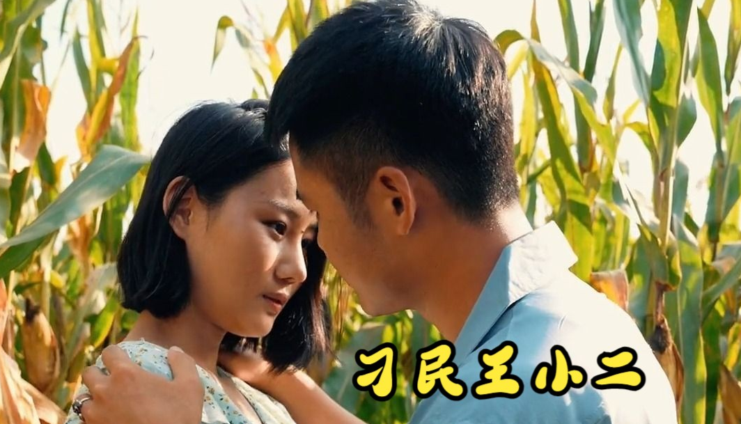 刁民王小二 第36集