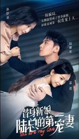 替身新娘:陆总的第一宠妻 第35集