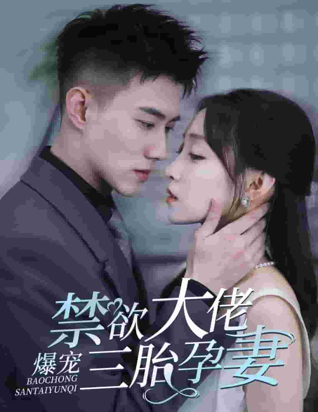 禁欲大佬爆宠三胎孕妻 第12集