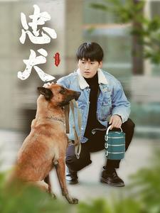 忠犬（短剧版） 第23集