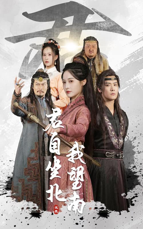 我自迎风向故里 第12集