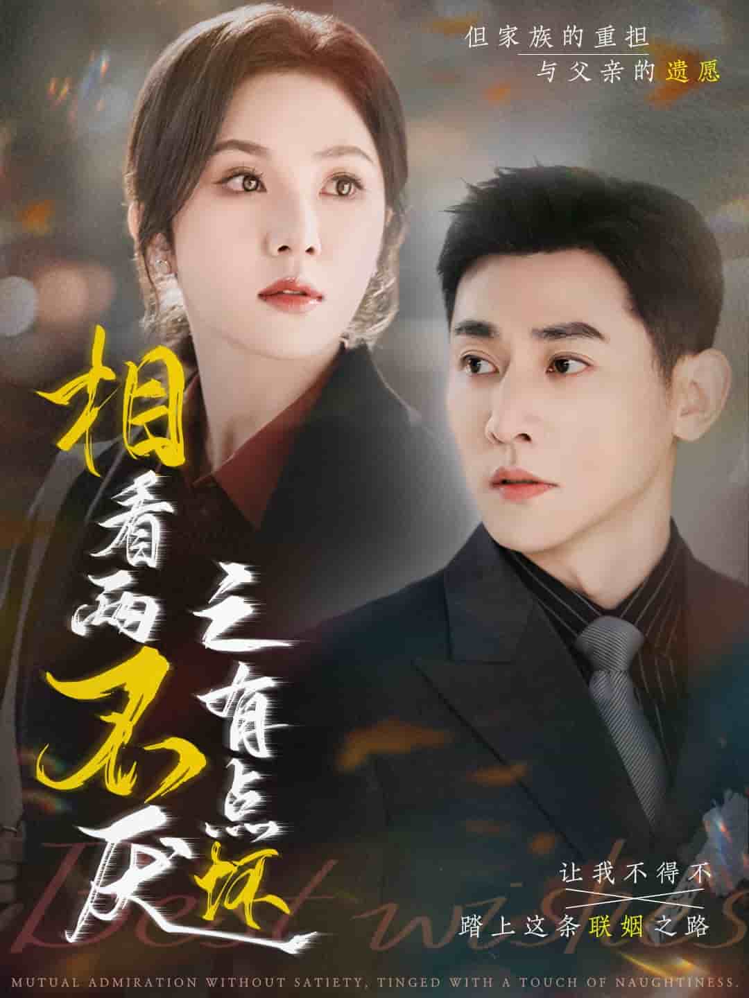 相看两不厌之有点坏(全集)