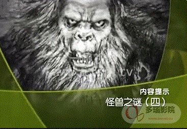 大''真探''怪兽之谜(全集)
