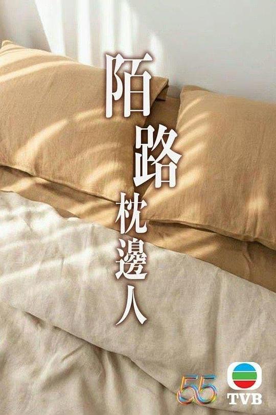 再见枕边人国语(全集)
