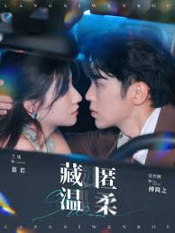藏匿温柔 第68集